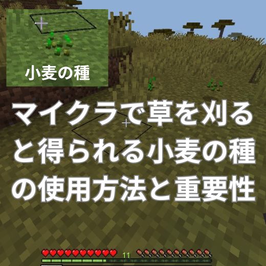 マイクラで草を刈ると得られる小麦の種の使用方法と重要性