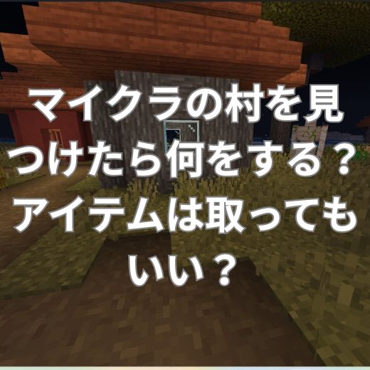 マイクラの村を見つけたら何をする？アイテムは取ってもいい？