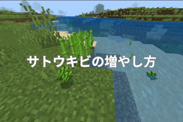 サトウキビの増やし方