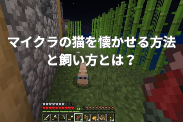 マイクラの猫を懐かせる方法と飼い方とは？