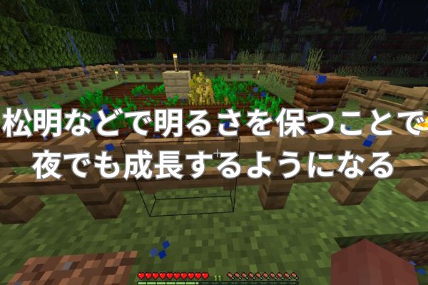 畑を明るくすることで夜でも野菜の成長速度が速まる