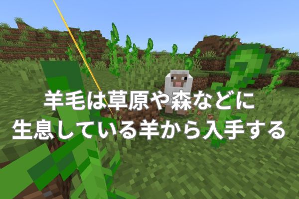 羊毛は草原や森などに生息している羊から入手する