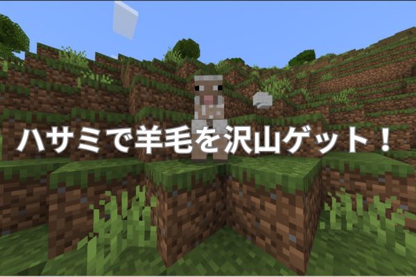 ハサミで羊毛をたくさんゲット！