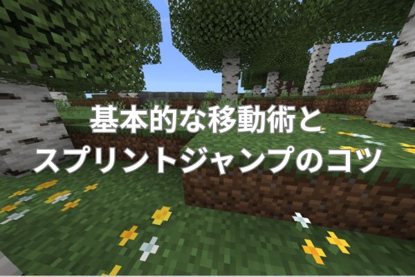 基本的な移動術とスプリントジャンプのコツ