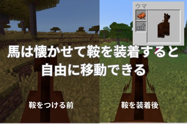 馬は懐かせて鞍を装着すると自由に移動できる
