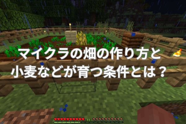 マイクラの畑の作り方と小麦などが育つ条件とは？