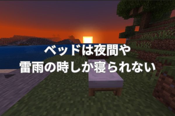 ベッドは夜間や雷雨の時しか寝られない