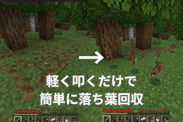 落ち葉を集める