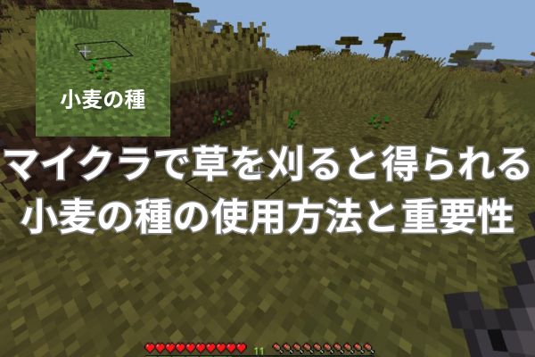 マイクラで草を刈ると得られる小麦の種の使用方法と重要性