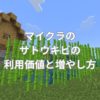 マイクラのサトウキビの利用価値と増やし方