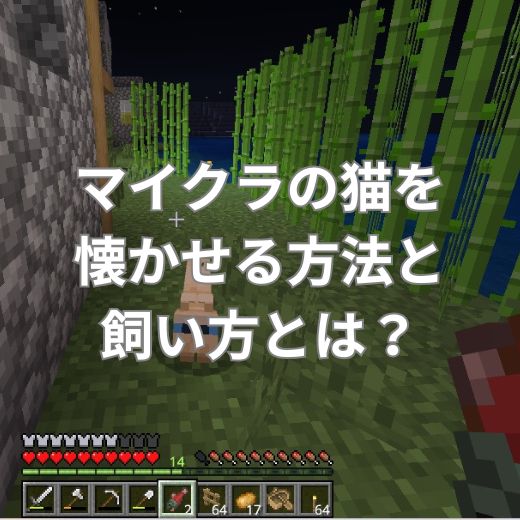 マイクラの猫を懐かせる方法と飼い方とは？