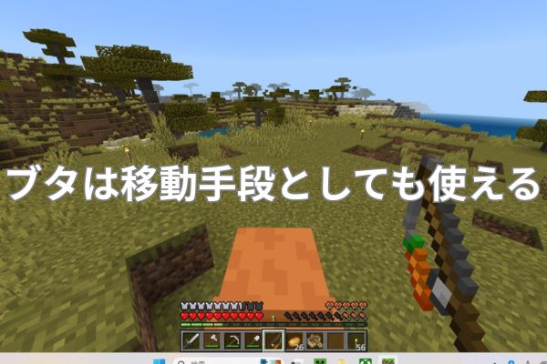 ブタは移動手段としても使える