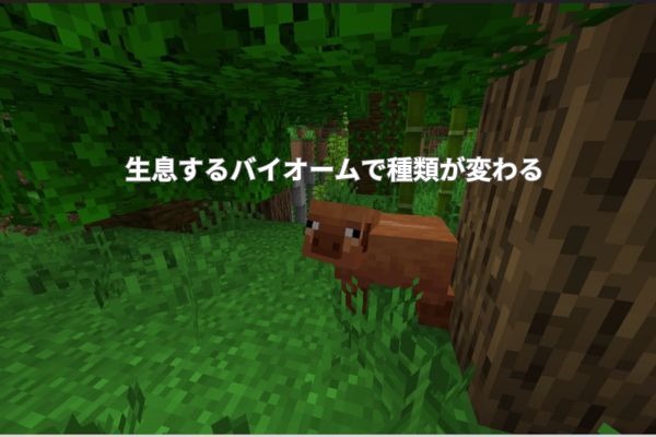 生息するバイオームで種類が変わる