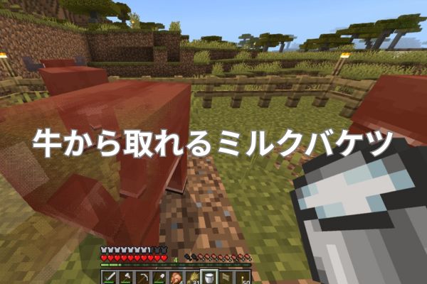 牛から取れるミルクバケツ