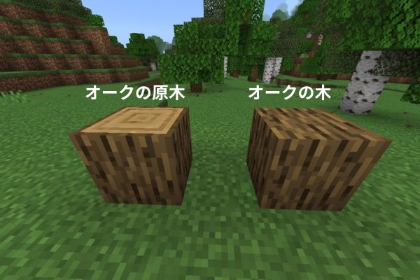 オークの原木とオークの木