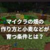 マイクラの畑の作り方と小麦などが育つ条件とは？