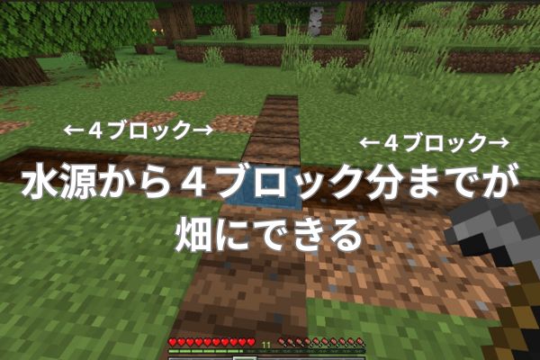 水源から４ブロックまでが畑にできる