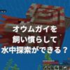 マイクラのオウムガイを飼い慣らして水中探索ができる？