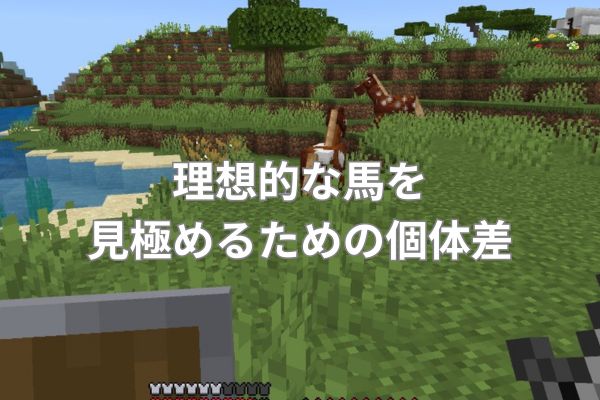 理想的な馬を見極めるための個体差