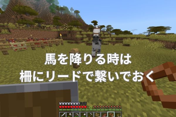 馬を降りる時は柵にリードで繋いでおく