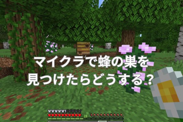 マイクラで蜂の巣を見つけたらどうする？