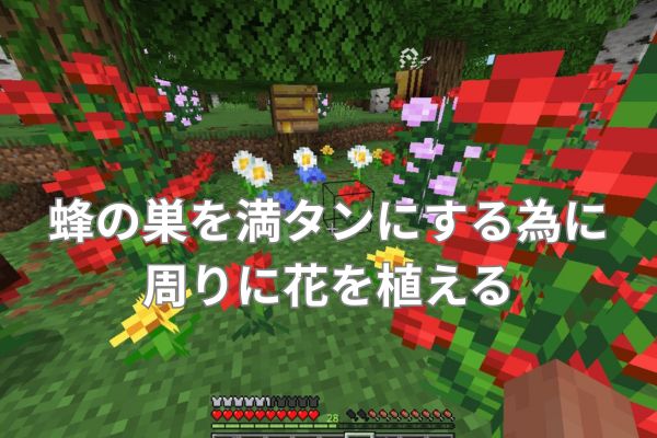 蜂の巣を満タンにする為に周りに花を植える
