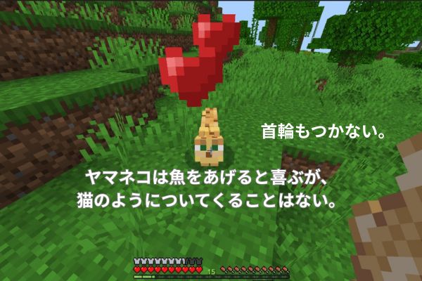 ヤマネコはなつかない