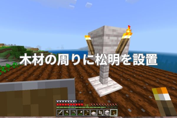 木材の周りの松明を設置