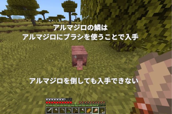 アルマジロの鱗はアルマジロにブラシを使うことで入手