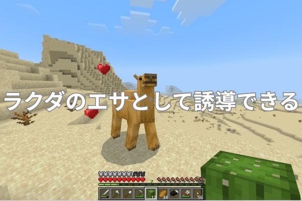 サボテンはラクダのエサとして誘導できる