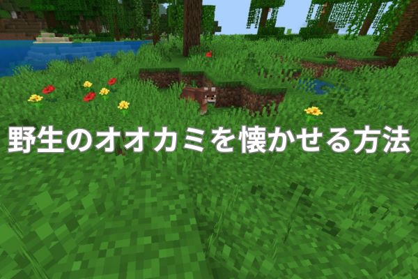 野生のオオカミを懐かせる方法