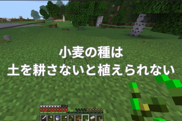 小麦の種は土を耕さないと植えられない