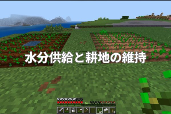 水分供給と耕地の維持