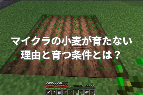 マイクラの小麦が育たない理由と育つ条件とは?