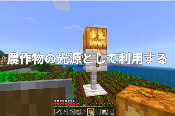 農作物の光源として利用する