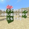 マイクラのサボテンの使い道は？増やすこともできる？
