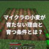マイクラの小麦が育たない理由と育つ条件とは？