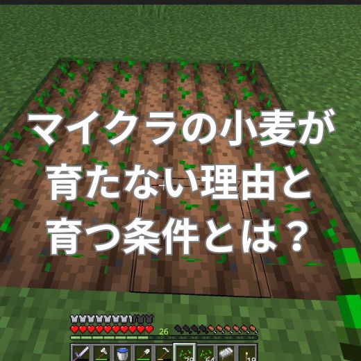 マイクラの小麦が育たない理由と育つ条件とは？