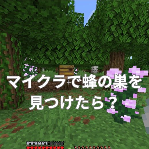 マイクラで蜂の巣を見つけたらどうする？