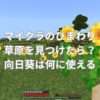 マイクラのひまわり草原を見つけたら？向日葵は何に使える？