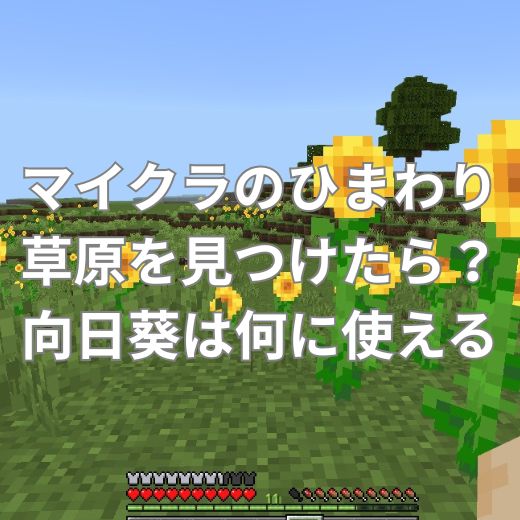 マイクラのひまわり草原を見つけたら？向日葵は何に使える？
