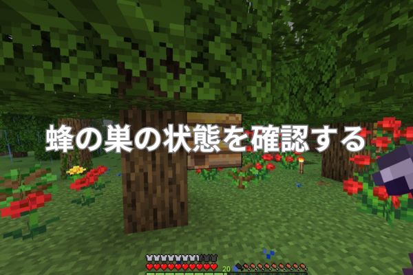 蜂の巣の状態を確認する