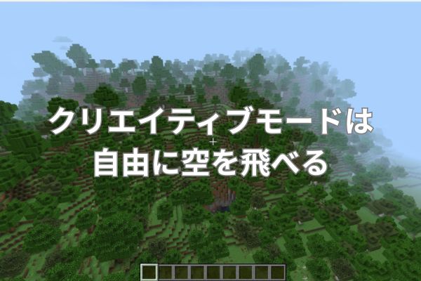 クリエイティブモードは自由に空を飛べる