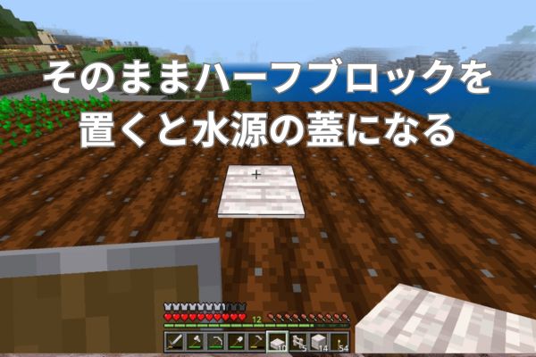 ハーフブロックを水源の蓋にする