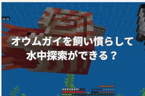 マイクラのオウムガイを飼い慣らして水中探索ができる？