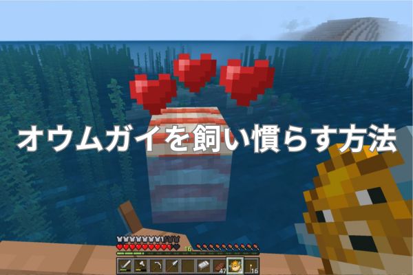 オウムガイを飼い慣らす方法