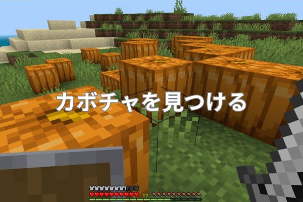 カボチャを見つける