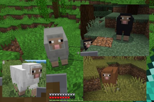 マイクラの羊の色