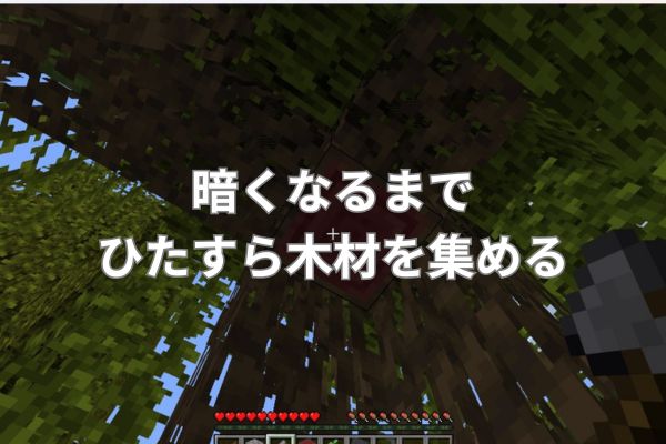 暗くなるまでひたすら木材を集める
