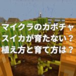 マイクラのカボチャやスイカが育たない？植え方と育て方は？